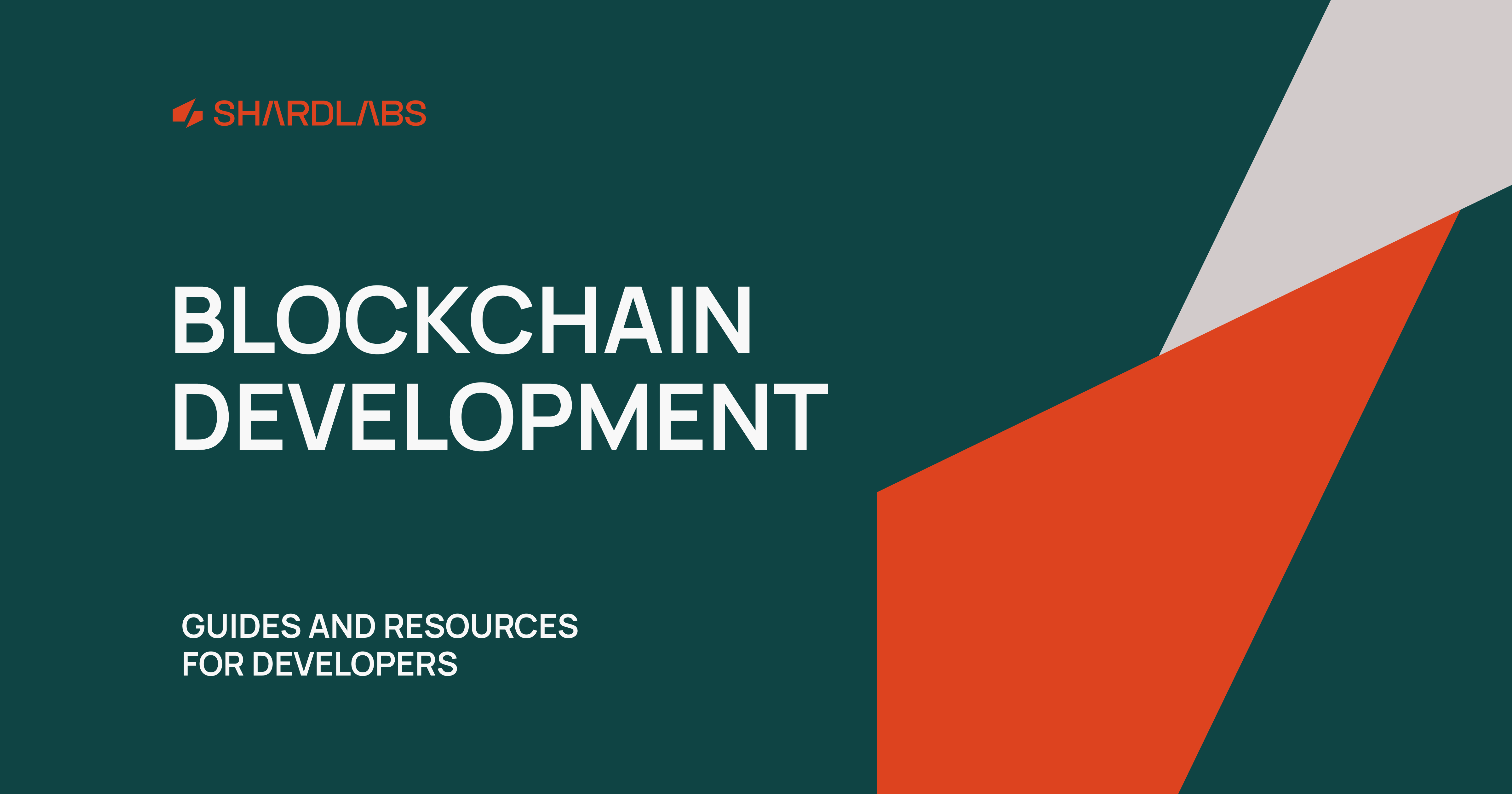 Developers Guide to Getting Started with Blockchain Development